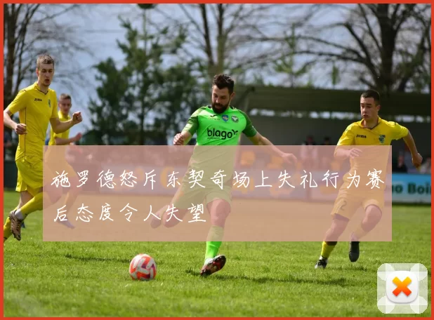 施罗德怒斥东契奇场上失礼行为赛后态度令人失望