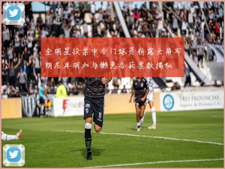 全明星投票中冷门球员崭露头角布朗尼库明加与獭兔各获票数揭秘
