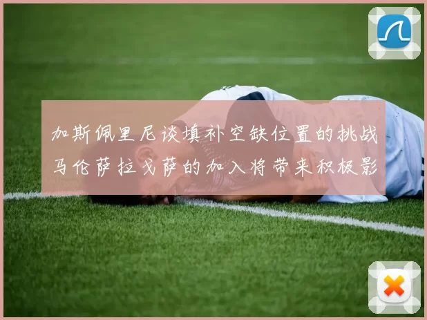加斯佩里尼谈填补空缺位置的挑战马伦萨拉戈萨的加入将带来积极影响